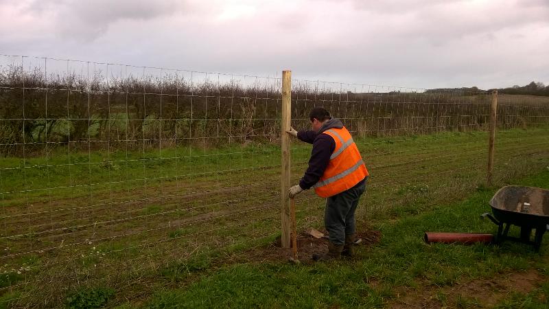 Replacement Fence Post